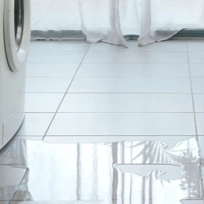 Appliance Leak Cleanup in Kapaau, HI