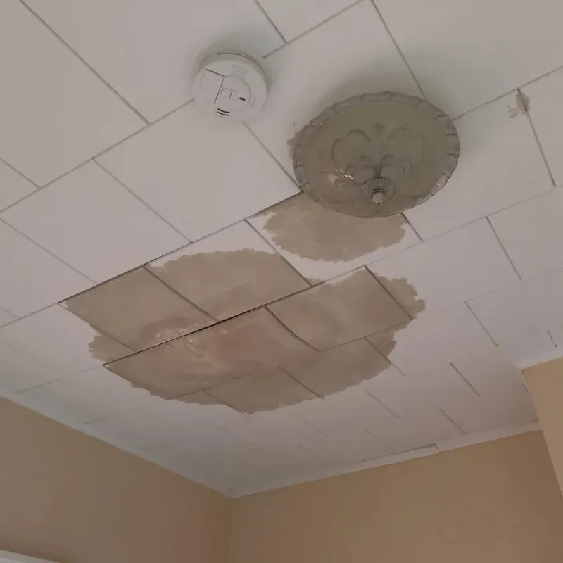 Ceiling Water Damage Repair in Kapaau, HI
