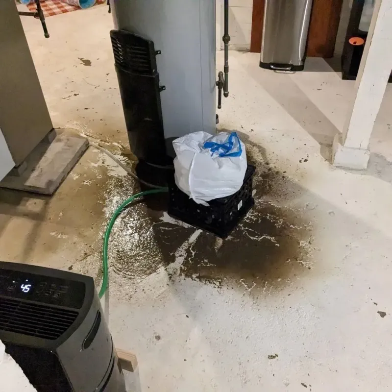 Sewage Backup Cleanup Service in Kapaau, HI